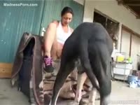 Horny Spanish legal age teenager seduces her dark dog